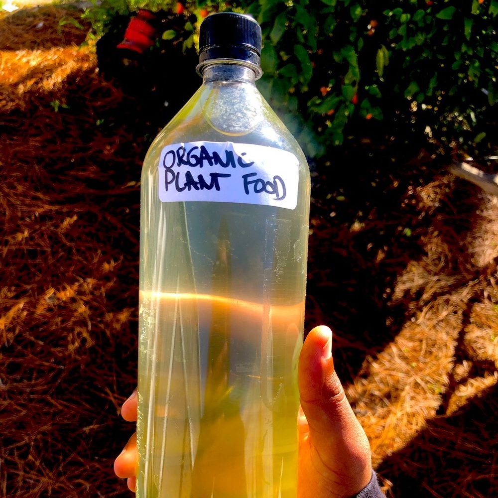 Organic Plant/Tree Food